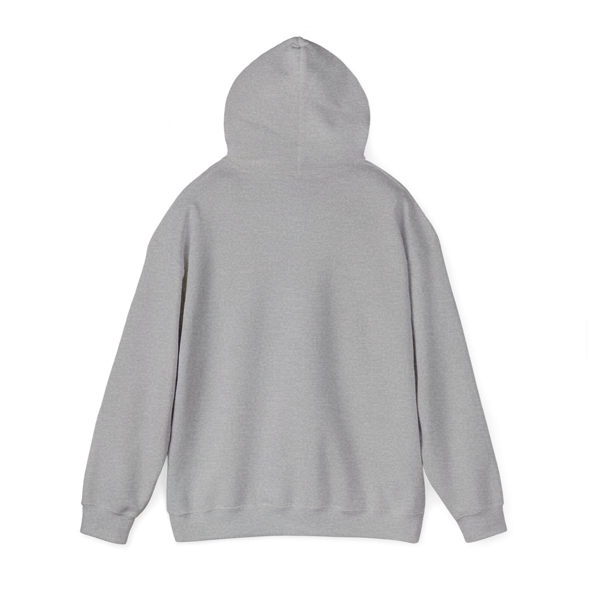 Hoodie „YOU HAD ME AT DAY DRINKING“ – Cooler Unisex Hoodie mit großem Frontprint