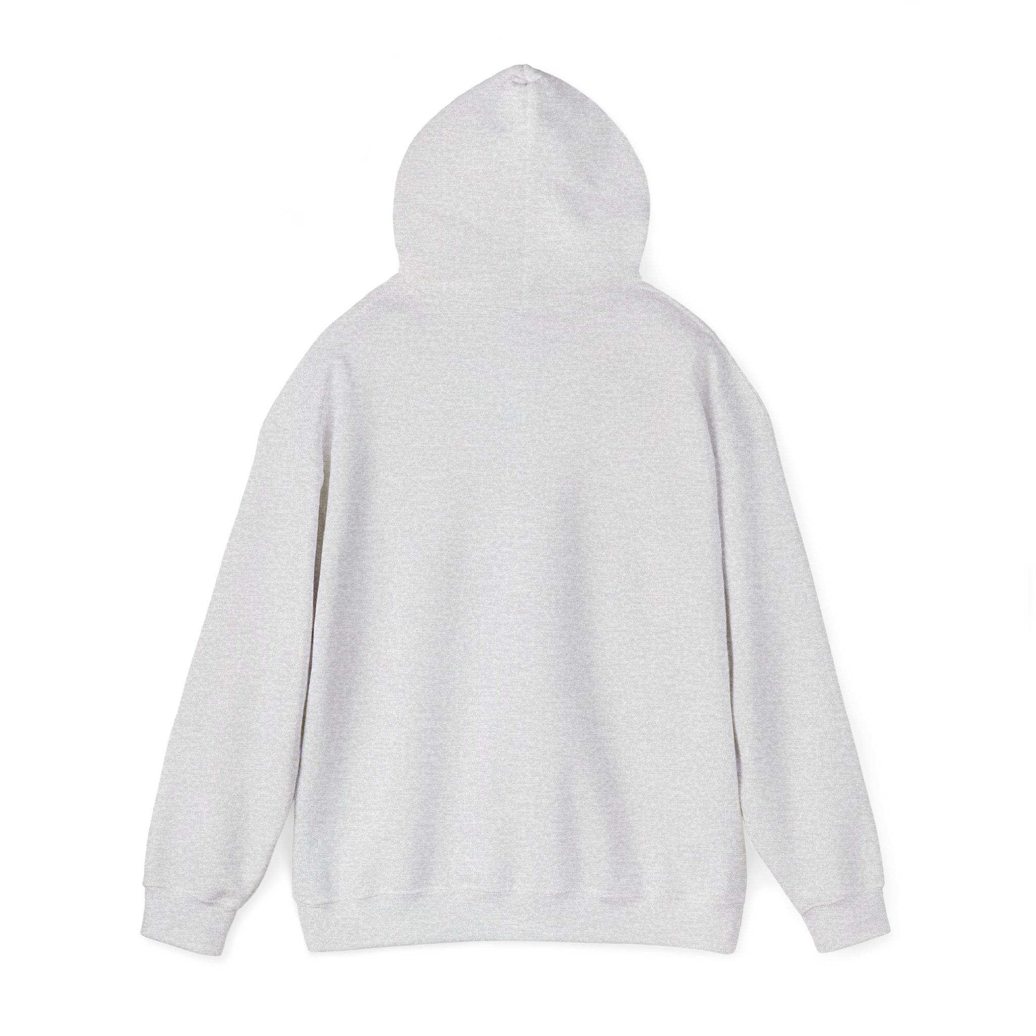 Hoodie „YOU HAD ME AT DAY DRINKING“ – Cooler Unisex Hoodie mit großem Frontprint