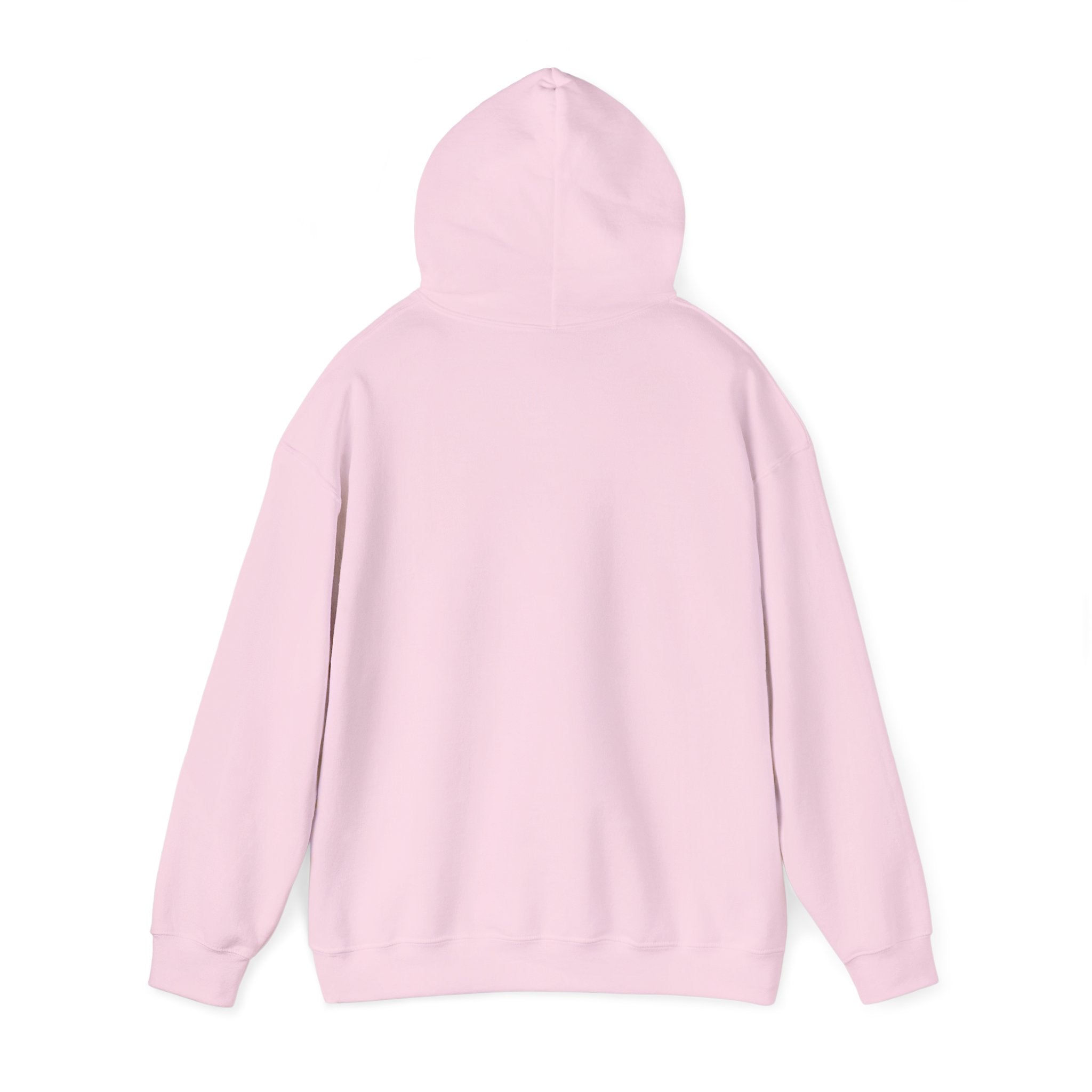 Hoodie „YOU HAD ME AT DAY DRINKING“ – Cooler Unisex Hoodie mit großem Frontprint