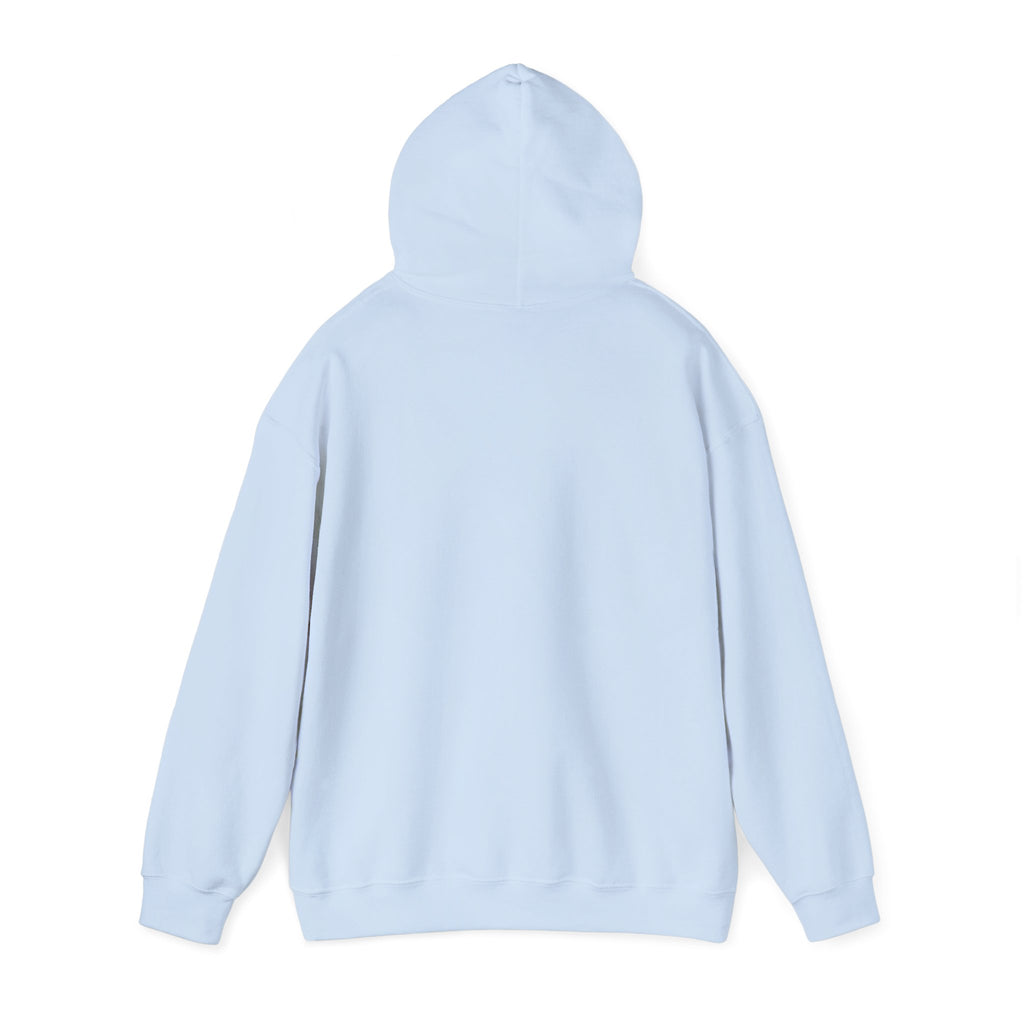 Hoodie „YOU HAD ME AT DAY DRINKING“ – Cooler Unisex Hoodie mit großem Frontprint