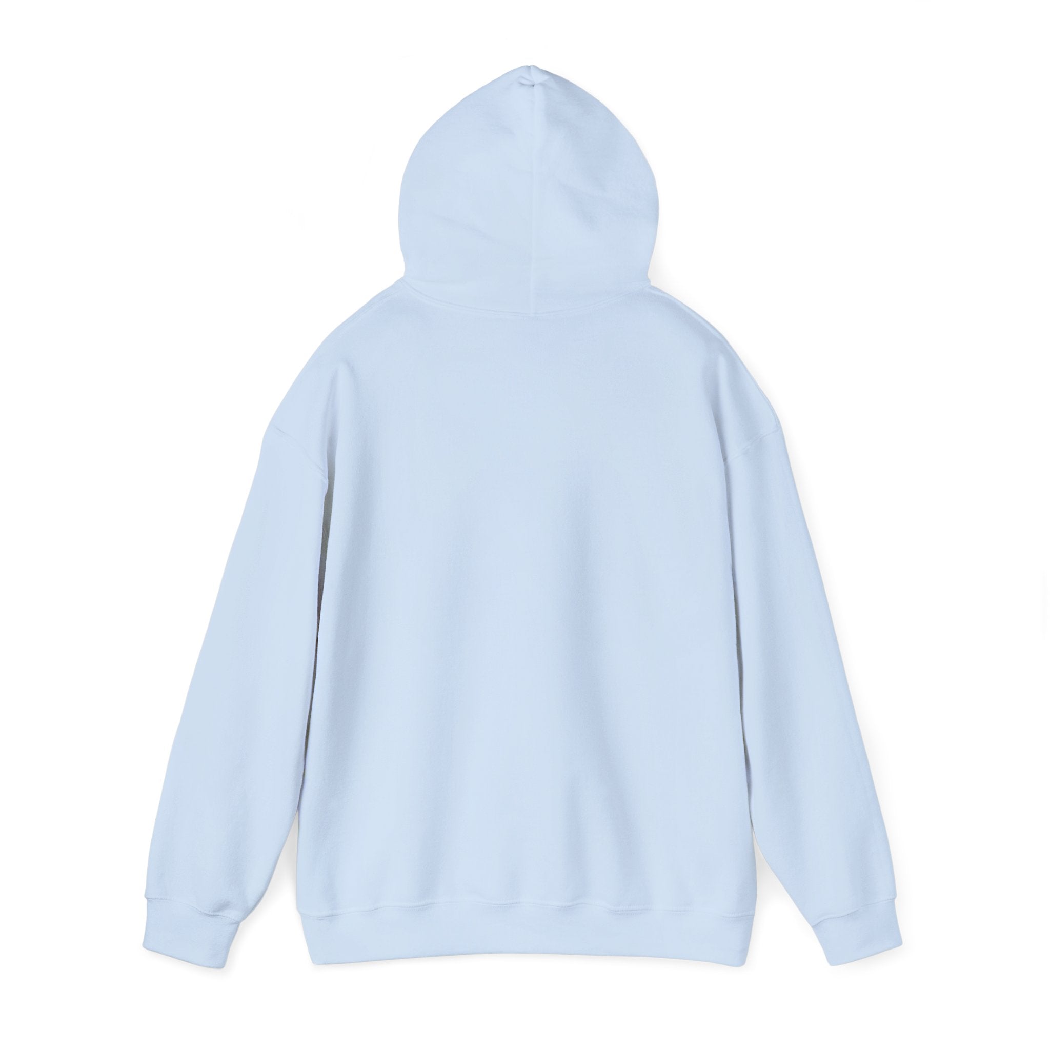 Hoodie „YOU HAD ME AT DAY DRINKING“ – Cooler Unisex Hoodie mit großem Frontprint