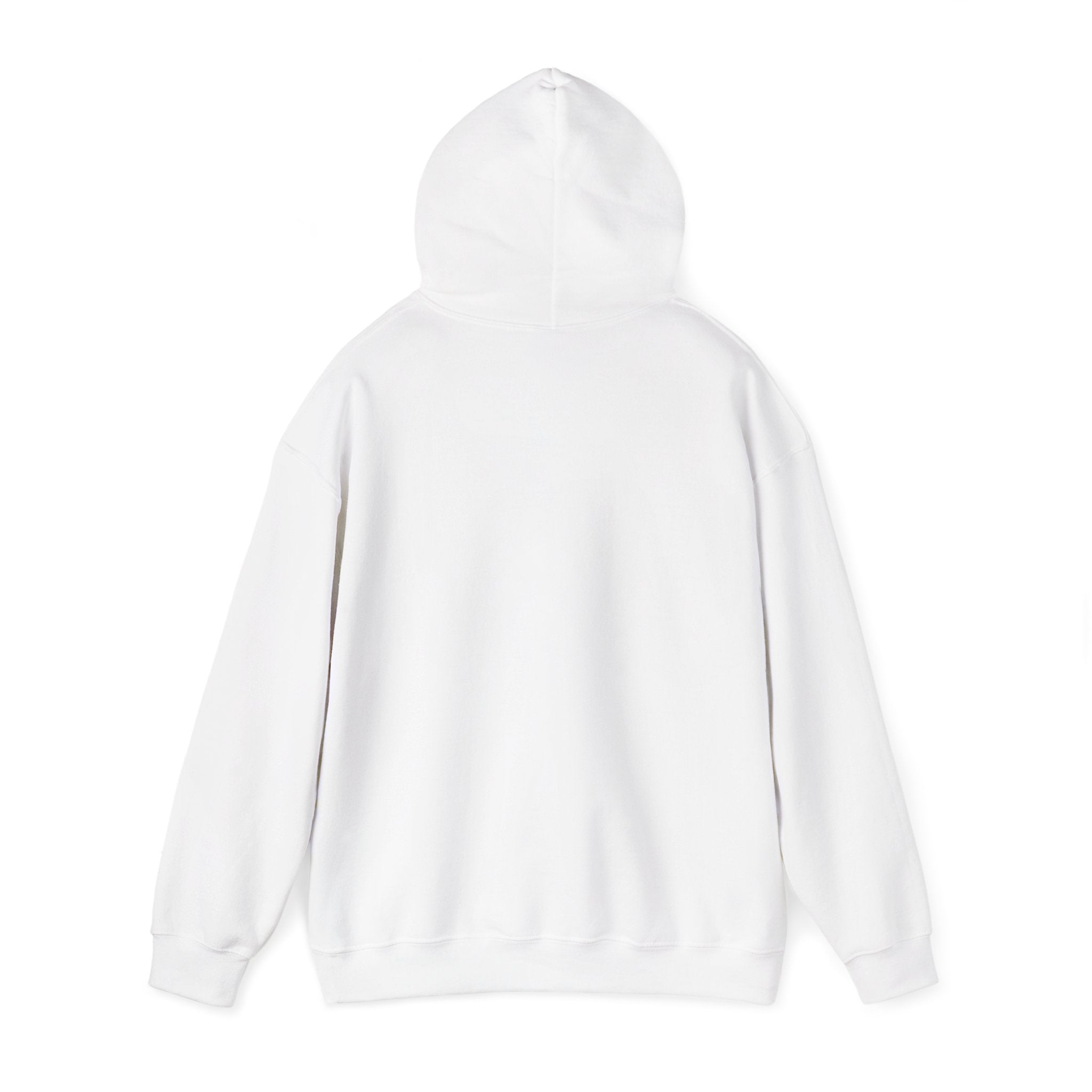 Hoodie „YOU HAD ME AT DAY DRINKING“ – Cooler Unisex Hoodie mit großem Frontprint